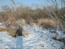 Dražba pozemku, Světec, 13949 m2