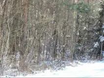 Dražba pozemku, Hamr na Jezeře, 23639 m2