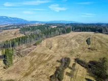 Prodej louky, Hostinné, 102316 m2