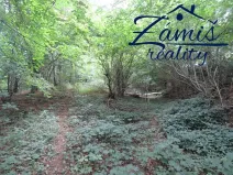 Prodej podílu lesa, Pohledy, 7200 m2