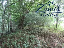 Prodej podílu lesa, Pohledy, 7200 m2
