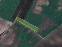 Prodej pole, Černouček, 10080 m2