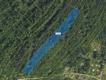 Dražba lesa, Stříbrná Skalice, 10096 m2