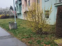 Dražba pozemku, Praha, 243 m2