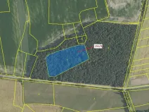 Dražba lesa, Buková u Příbramě, 9307 m2