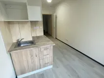 Pronájem bytu 1+kk, Praha - Hlubočepy, Na Zlíchově, 20 m2