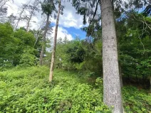 Dražba lesa, Blížejov, 4624 m2