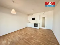 Pronájem bytu 1+kk, Praha, Mezi vodami, 30 m2