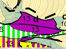 Dražba lesa, Městečko Trnávka, 302 m2