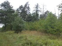 Prodej pozemku, Skuteč, 881 m2