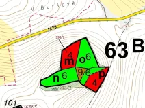 Dražba lesa, Kuřimany, 3340 m2