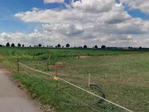 Dražba pozemku pro bydlení, Loket, 7909 m2