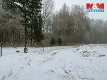 Prodej pozemku pro bydlení, Soutice, 338 m2