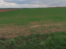 Prodej pole, Bukovno, 2775 m2