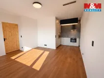 Pronájem bytu 2+kk, Praha - Radlice, Na Farkáně III, 55 m2