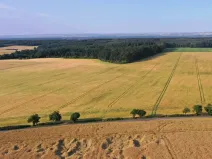 Prodej pole, Horní Slivno, 27919 m2