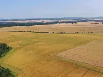 Prodej pole, Horní Slivno, 27919 m2