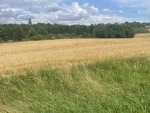 Prodej podílu pozemku, Krásněves, 12458 m2