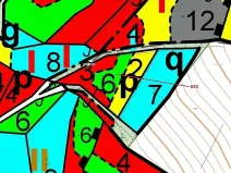 Dražba lesa, Kuřimany, 2947 m2