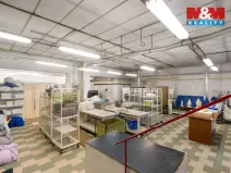 Prodej výrobních prostor, Jílové, Teplická, 3160 m2