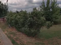 Prodej pozemku pro bydlení, Olomouc, 1434 m2