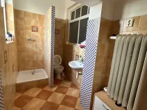 Pronájem rodinného domu, Písek, Pražská, 200 m2