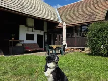 Prodej chalupy, Střelná, 150 m2