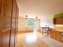 Pronájem bytu 1+kk, Brno, Živného, 34 m2