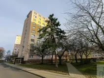 Prodej bytu 2+1, Litvínov, Tylova, 53 m2