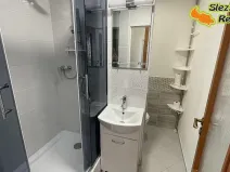 Pronájem bytu 1+1, Ostrava, Písečná, 35 m2