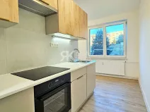 Pronájem bytu 1+1, Ostrava, Proskovická, 40 m2