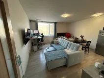 Prodej bytu 1+kk, Brno, Gajdošova, 37 m2