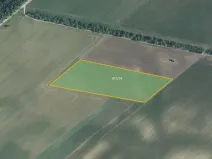 Prodej sadu/vinice, Bulhary, 93618 m2