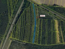 Dražba lesa, Bzenec, 4949 m2