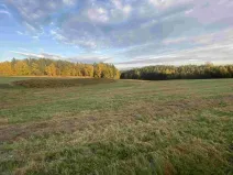 Dražba louky, Cvikov, 7470 m2