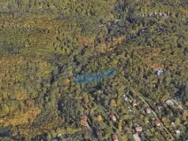 Prodej podílu lesa, Brno, 431 m2