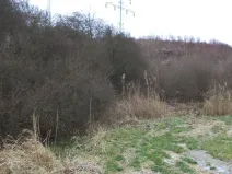 Prodej pozemku, Brandýs nad Labem-Stará Boleslav - Popovice, 1366 m2