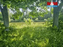 Prodej louky, Hradec Králové - Pražské Předměstí, 4850 m2