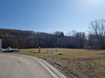 Prodej komerčního pozemku, Velká Polom, Okružní, 6038 m2