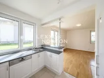 Pronájem rodinného domu, Průhonice, Pod Valem II., 325 m2