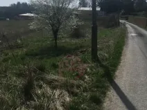 Prodej pozemku pro bydlení, Mirošovice, Hlavní, 24043 m2