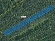 Dražba lesa, Milavče, 2398 m2