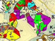 Dražba lesa, Český Dub, 2117 m2