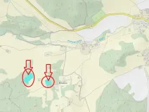 Prodej podílu lesa, Brloh, 5446 m2