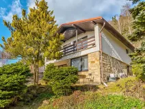 Prodej rodinného domu, Stružinec, 254 m2