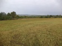 Dražba louky, Horní Pěna, 1083 m2