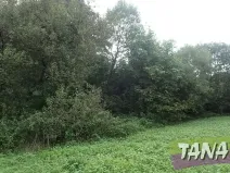 Prodej podílu pozemku pro bydlení, Mladějov, 382 m2