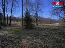 Prodej pozemku pro bydlení, Velemín, 5378 m2