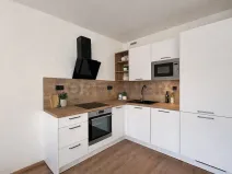 Pronájem bytu 1+kk, Brno, Fryčajova, 30 m2