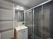 Pronájem bytu 1+kk, Brno, Fryčajova, 30 m2